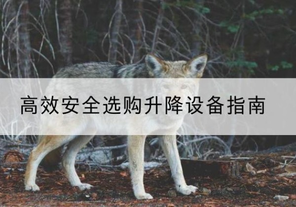 金水升降货梯厂家推荐-*安全选购升降设备指南