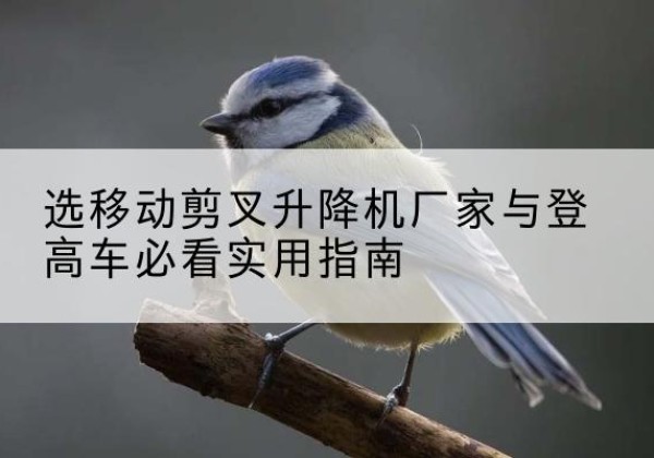 金水电动升降机厂家-选移动剪叉升降机厂家与登高车必看实用指南