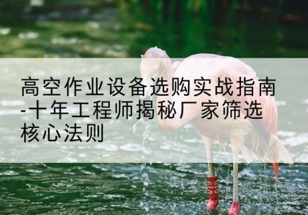 金水剪叉式升降机厂家-高空作业设备选购实战指南-十年工程师揭秘厂家筛选核心法则